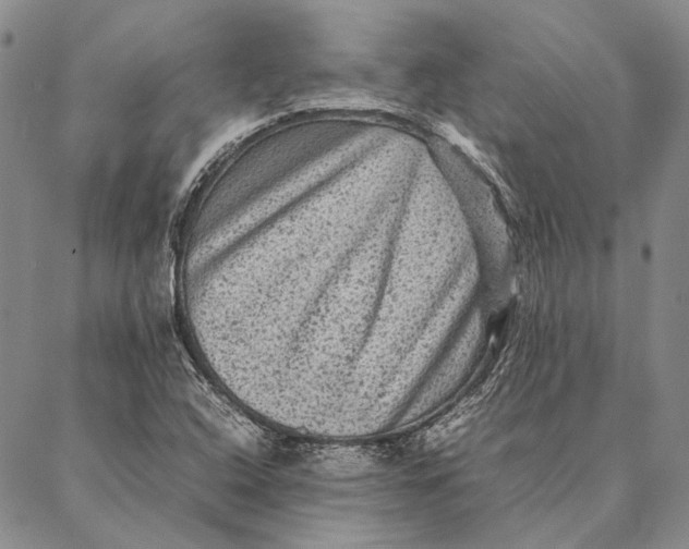 X0000087061408200705091149