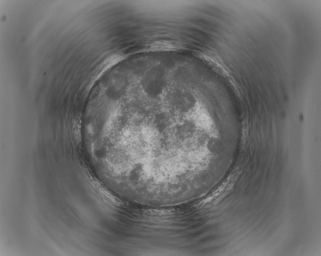 X0000087061409200705091149