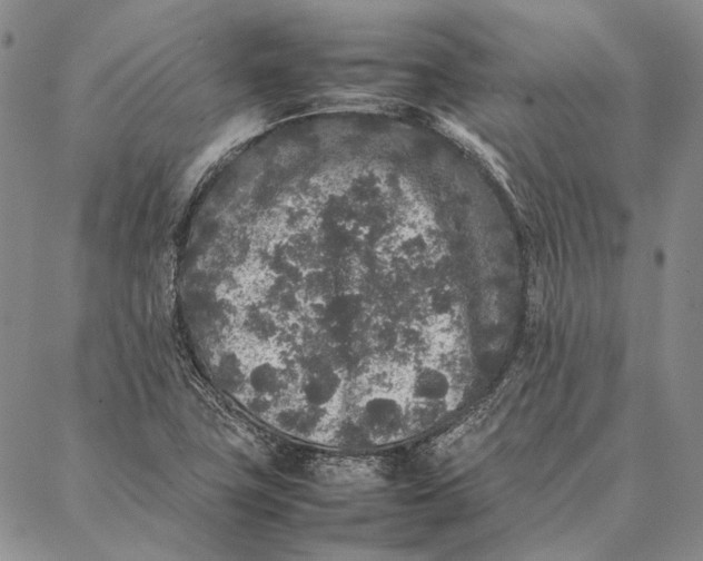 X0000087061411200705091149