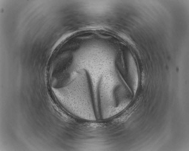 X0000087061412200705091149