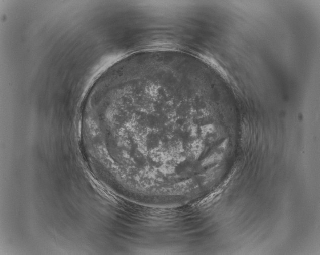 X0000087061413200705091149