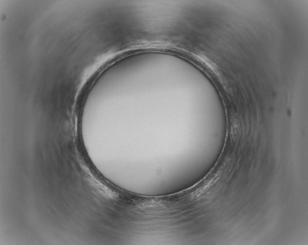 X0000087061414200705091149