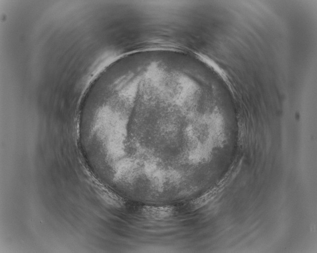 X0000087061415200705091149