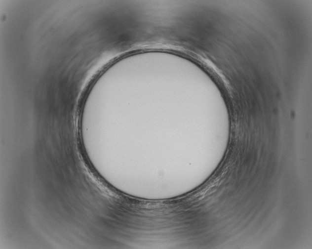 X0000087061416200705091149