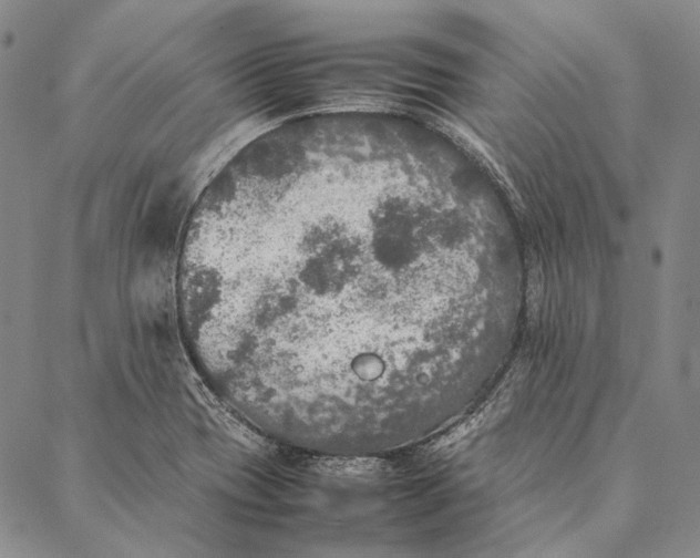 X0000087061417200705091149