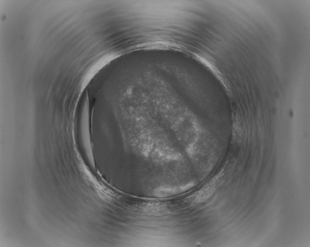 X0000087061418200705091149