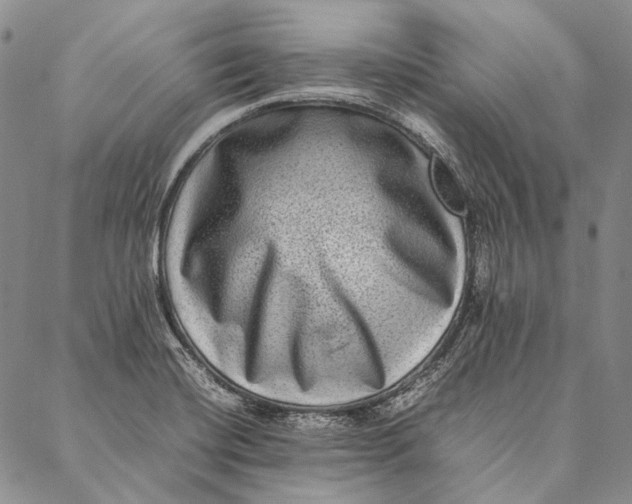 X0000087061420200705091149