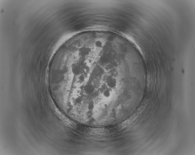 X0000087061421200705091149