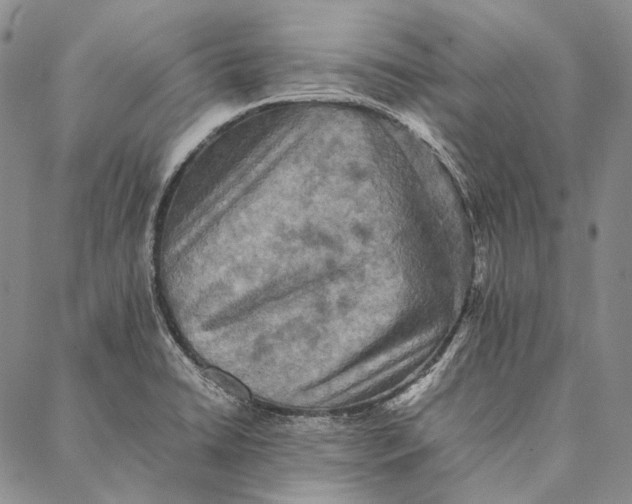 X0000087061422200705091149