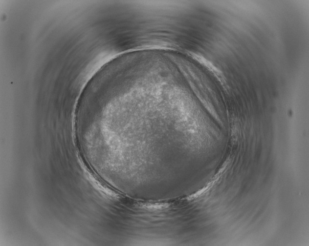 X0000087061423200705091149