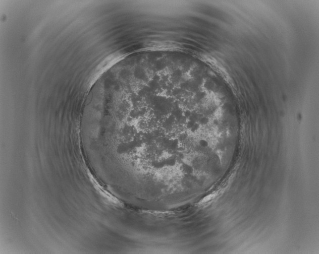 X0000087061425200705091149