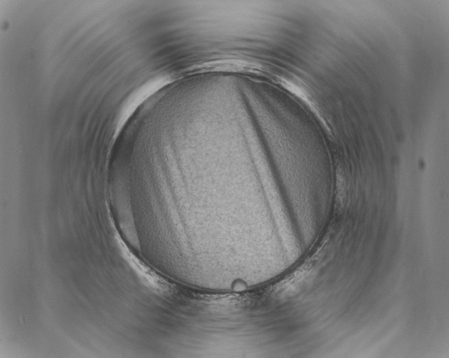 X0000087061426200705091149