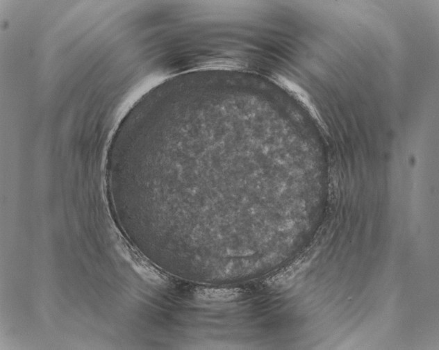 X0000087061427200705091149