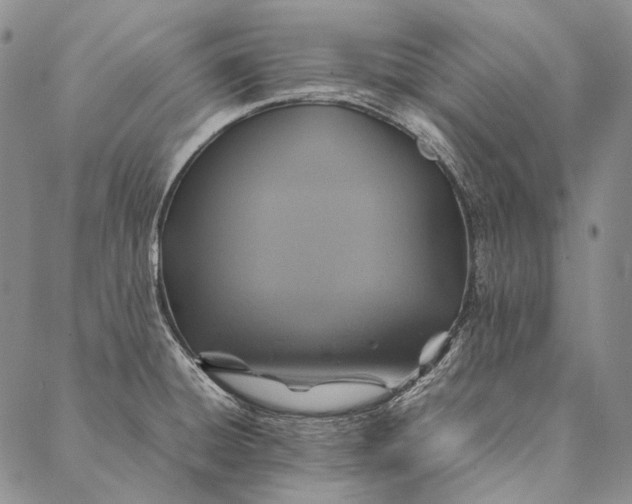 X0000087061428200705091149