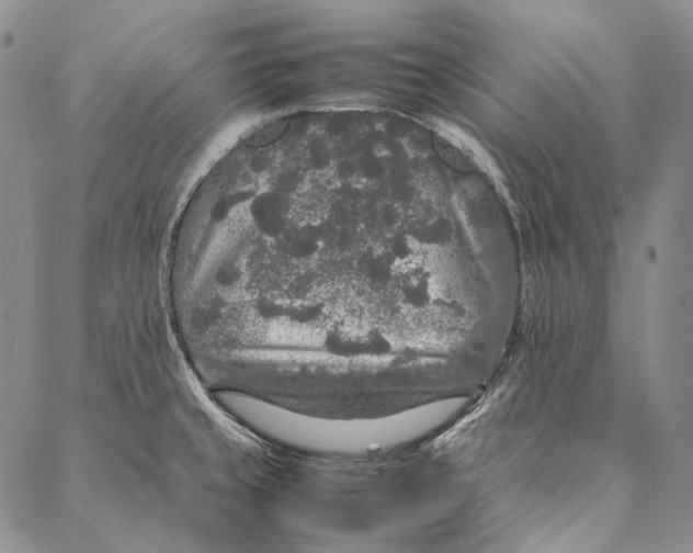 X0000087061429200705091149