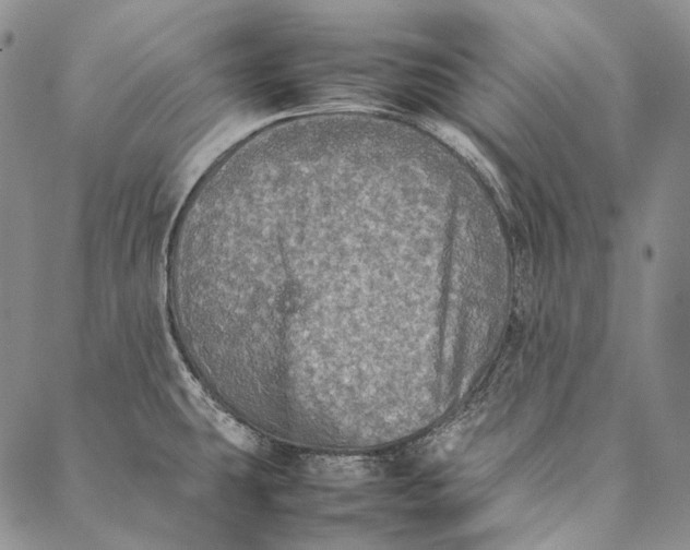 X0000087061431200705091149