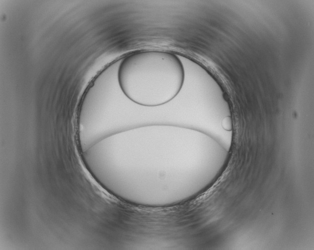 X0000087061432200705091149