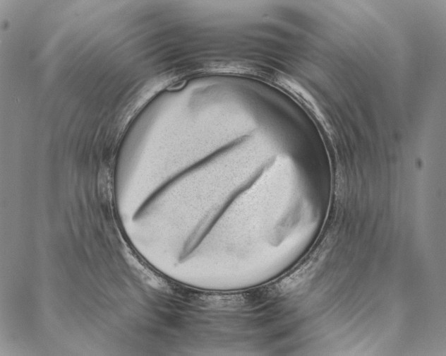 X0000087061433200705091149