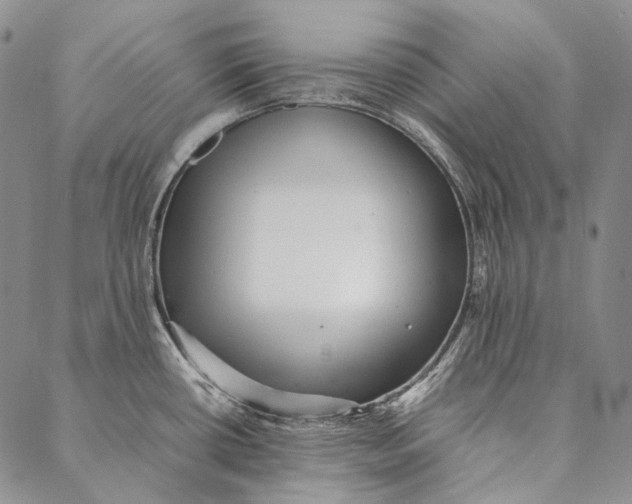 X0000087061434200705091149