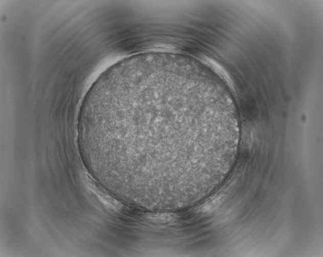 X0000087061435200705091149