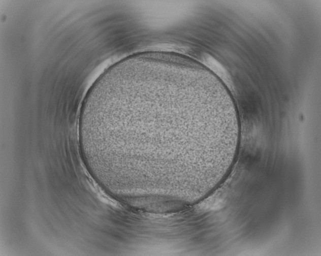 X0000087061436200705091149