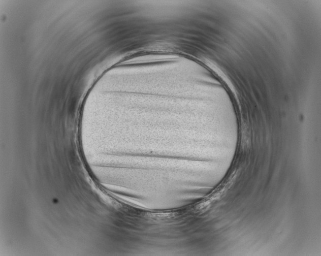 X0000087061437200705091149