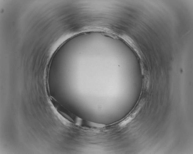 X0000087061438200705091149