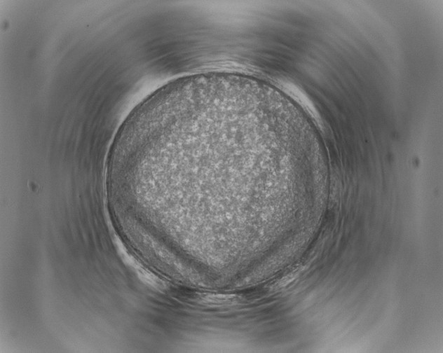 X0000087061439200705091149