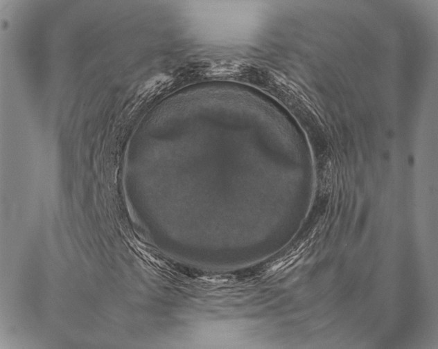 X0000087061441200705091149