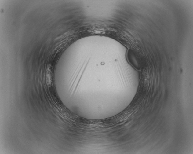 X0000087061442200705091149