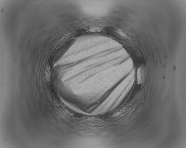 X0000087061443200705091149