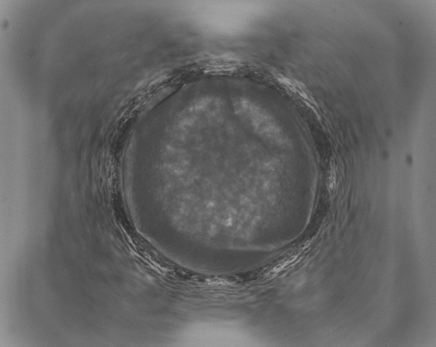 X0000087061445200705091149