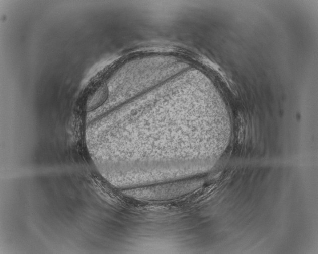 X0000087061448200705091149