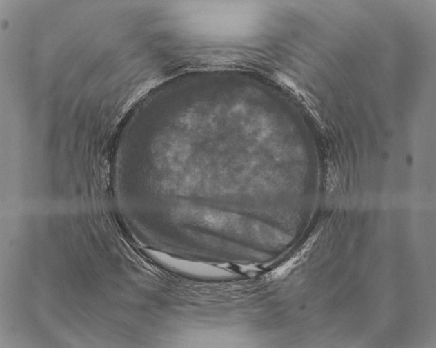 X0000087061449200705091149