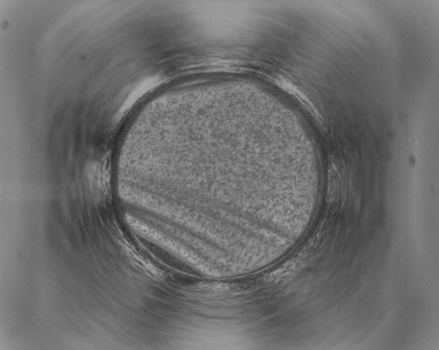 X0000087061450200705091148