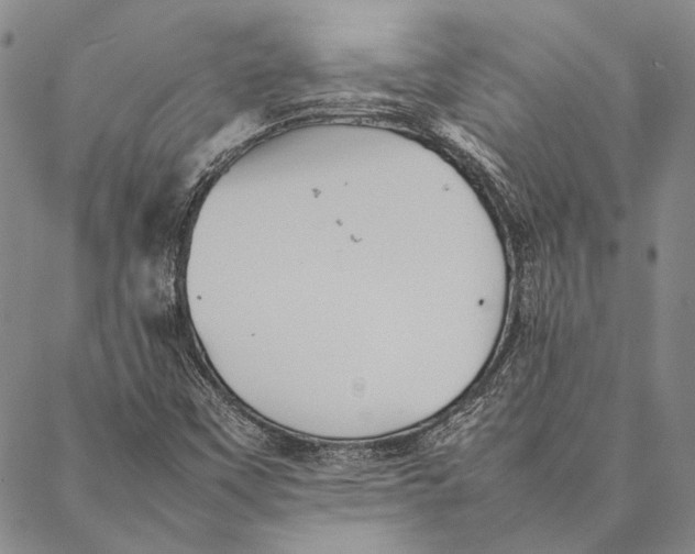 X0000087061451200705091148