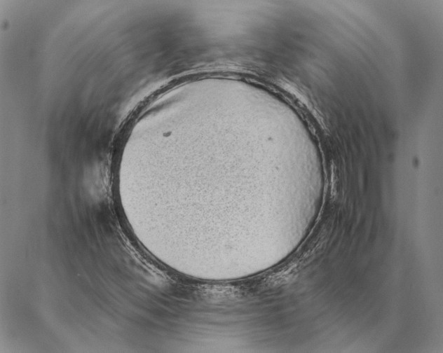 X0000087061452200705091148