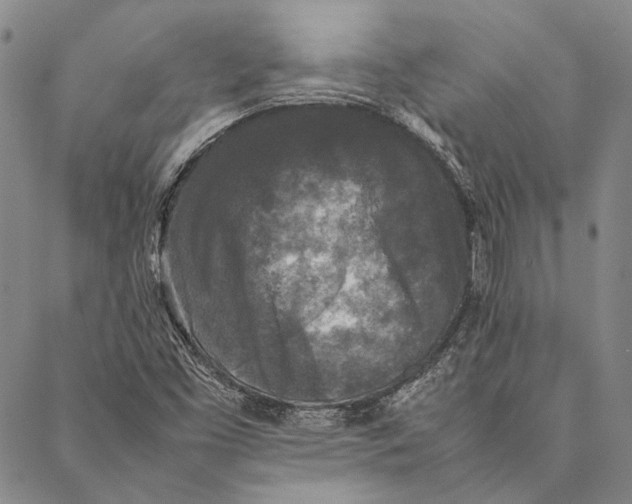 X0000087061453200705091148