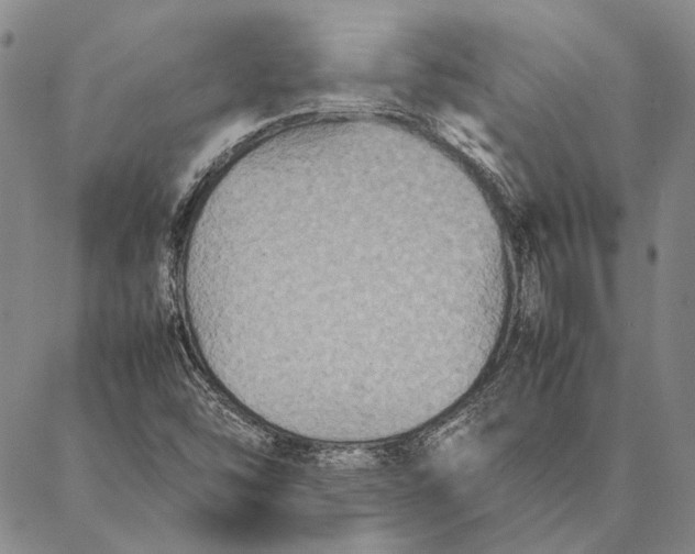 X0000087061454200705091148