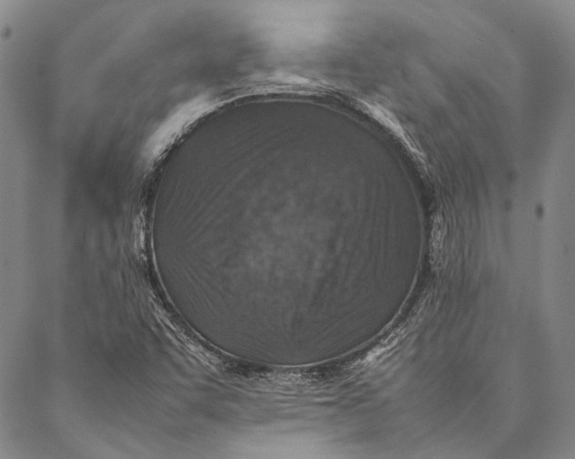 X0000087061455200705091148