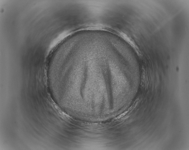 X0000087061456200705091148