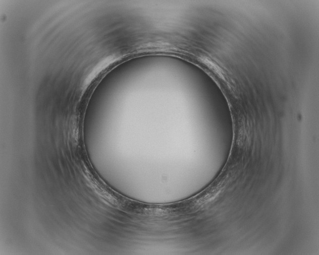 X0000087061458200705091148