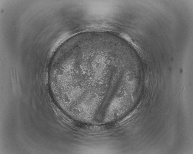 X0000087061459200705091148