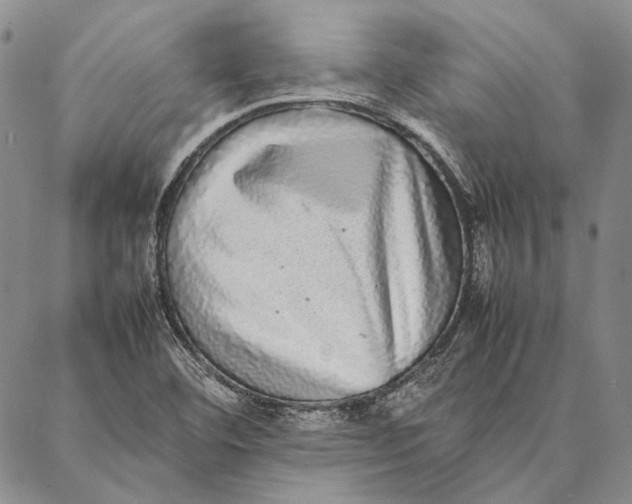 X0000087061460200705091148