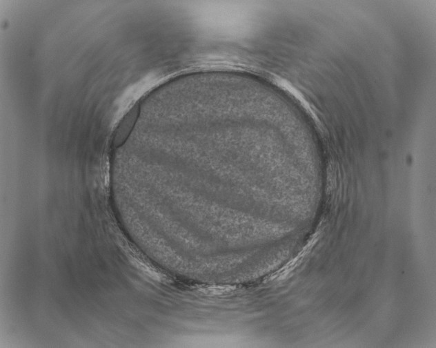 X0000087061461200705091148