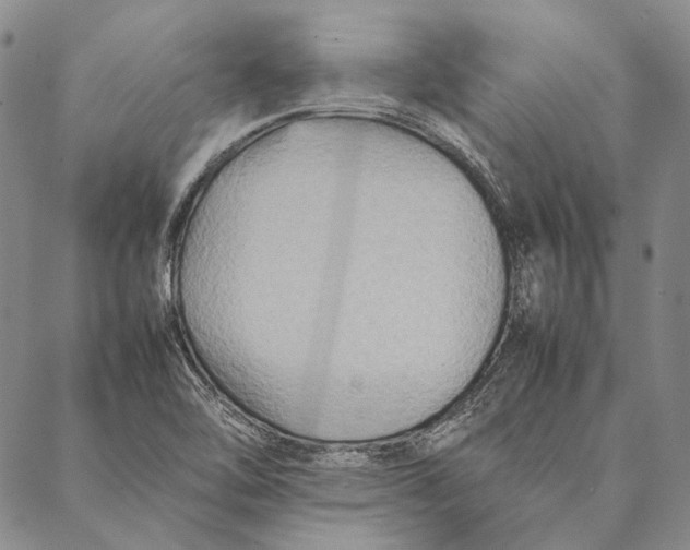 X0000087061462200705091148