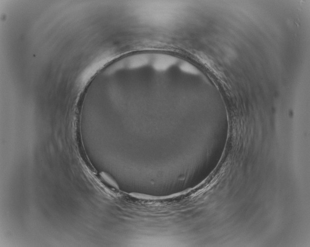 X0000087061463200705091148