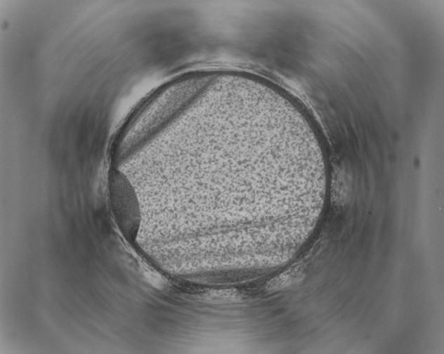 X0000087061464200705091148