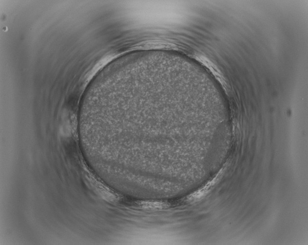 X0000087061465200705091148