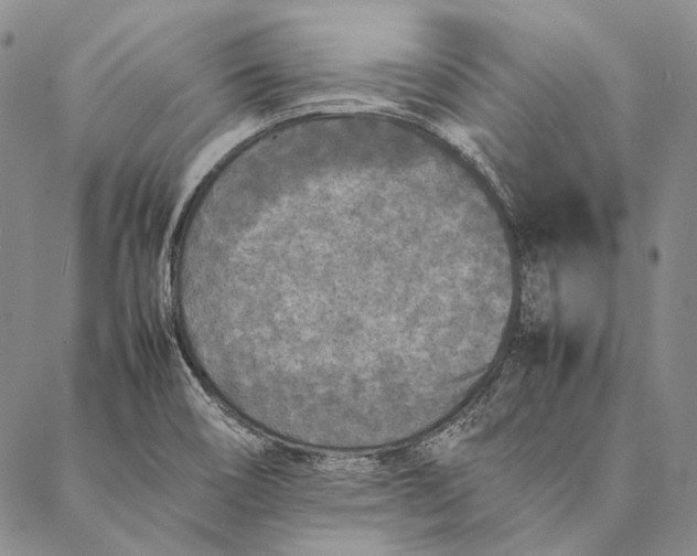 X0000087061466200705091148